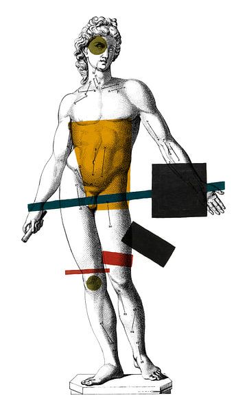 L'anatomie en Couleurs von Marja van den Hurk