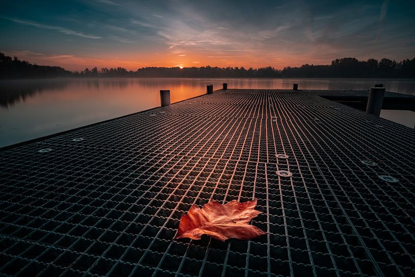 Un matin de novembre à l'Allersee par Marc-Sven Kirsch