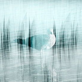 MEEUW OP LAAG WATER (ICM ) van Petra Terpstra