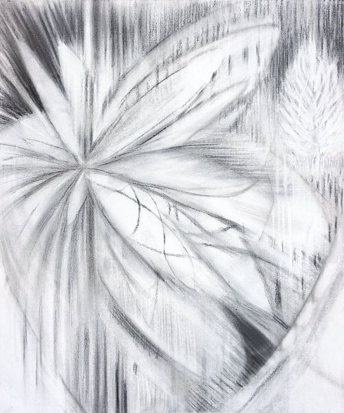 secrets-revealed-s002-8__2009 van Hans Zantman