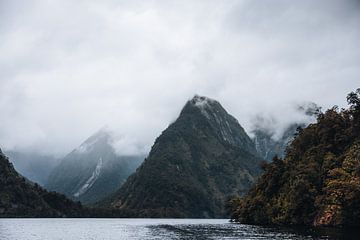 Doubtful Sound: undiscovered beauty by Ken Tempelers