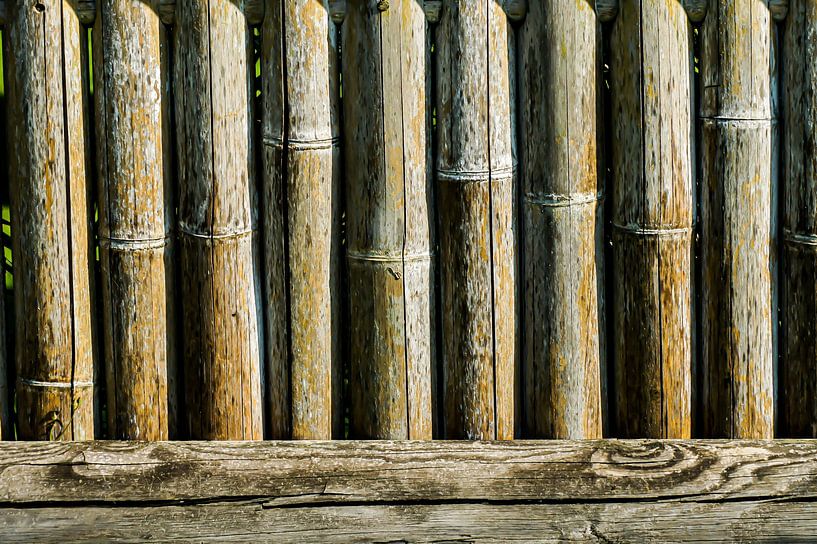 Bamboe van Niek Traas