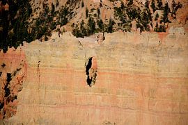 Random hole in the wall by Frank's Awesome Travels