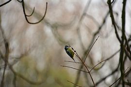 Durchhalten von Michael van Eijk