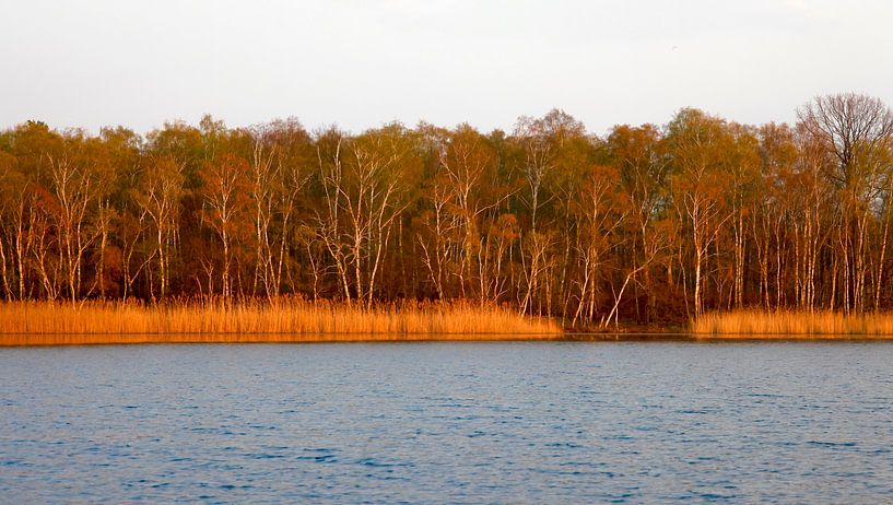 Evening at the lake by Thomas Jäger