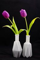 Tanzende Tulpen