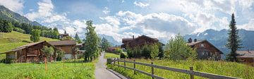 wandelpad door idyllisch dorpje Wengen, Berner Oberland van SusaZoom