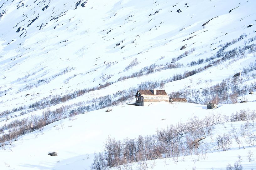 Norwegian high mountains, snow-covered mountains and landscape by Martin Köbsch