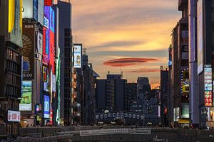 Osaka Lights
