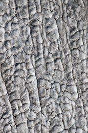 Structuur van oude sneeuw op een gletsjer