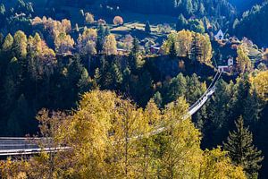 Hangbrug Goms Bridge in Wallis, Zwitserland van Werner Dieterich
