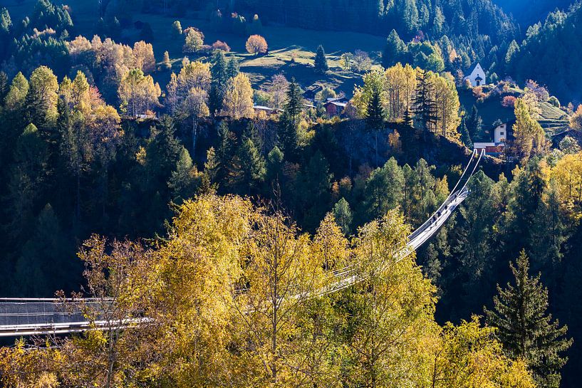 Hängebrücke Goms Bridge im Wallis in der Schweiz von Werner Dieterich