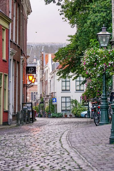 Kloksteeg Leiden van Dirk van Egmond