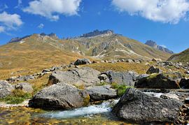 Col de Lautaret von Karin Jähne