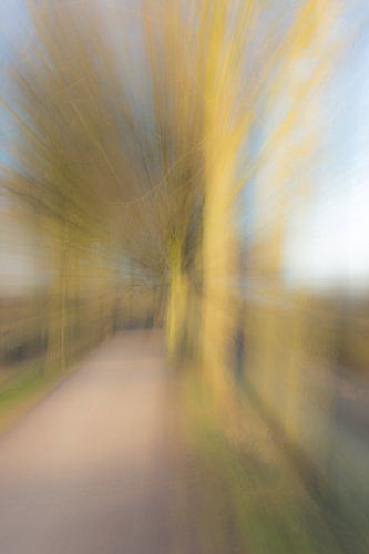 Bearbeiteter Blick durch Bäume