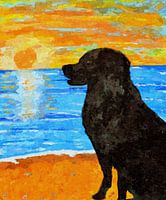 ORANGE BALL