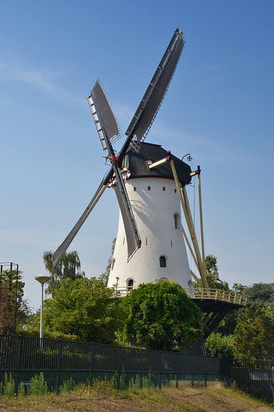 The White Mill in Nijmegen by Rob Pols