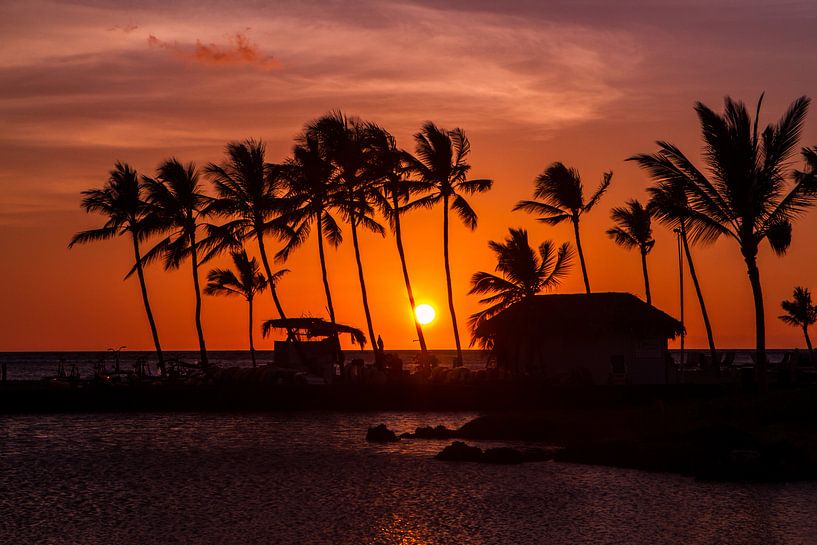 Zonsondergang Hawaii van Tessa Louwerens