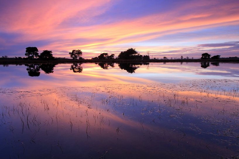 Strabrechtse Heide. par Patrick Brouwers