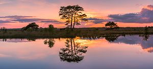 Panorama eines Sonnenuntergangs im Nationalpark Dwingelderveld