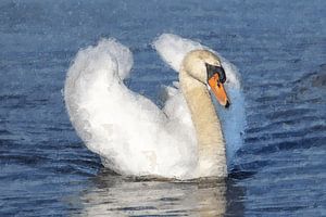 Elegante zwaan geschilderd