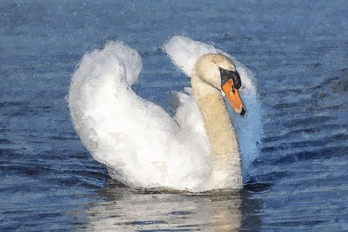 Elegant swan painted