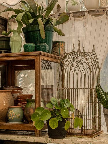 Stilleben, Green House Vogelkäfig und Ingwergläser