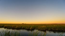 USA, Florida, Glowing orange sky over everglades nature landscape panorama by adventure-photos