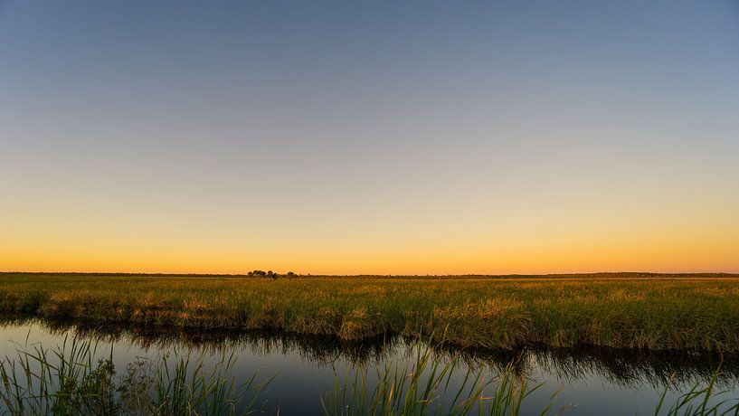 USA, Florida, Glowing orange sky over everglades nature landscape panorama by adventure-photos