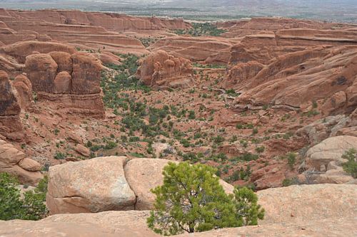 In Arches National Park,Utah, Amerika