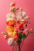 Poppies Carnival ii
