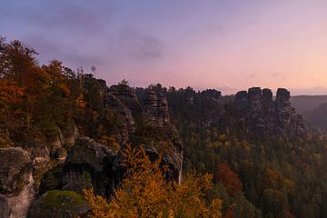 Sonnenaufgang im Elbsandsteingebirge von Frank Herrmann