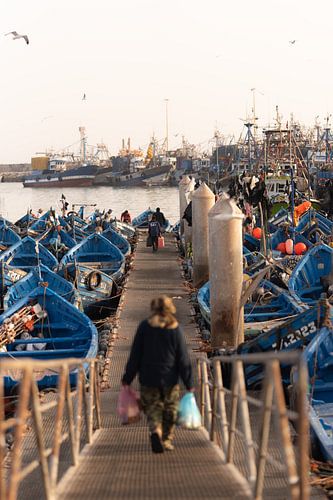 Blaue Fischerboote im Hafen von Essaouira, Marokko