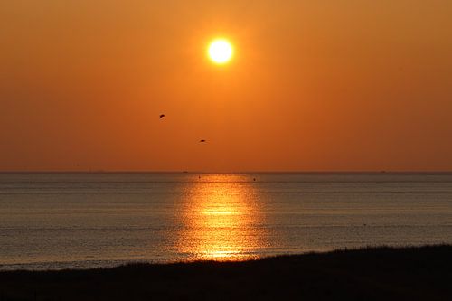 Julianadorp aan zee