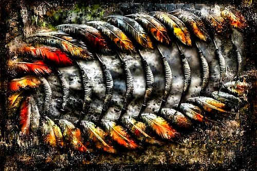 Kleurrijke abstracte veren kunst