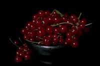 Johannisbeeren aus dem Garten