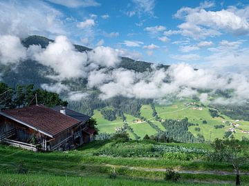 Zomer almhut in Tirol van Animaflora PicsStock