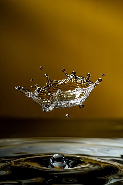 levitating by Thomas Riess