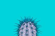 Kaktus türkis von Elles Rijsdijk Miniaturansicht
