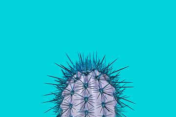 Cactus turquoise by Elles Rijsdijk