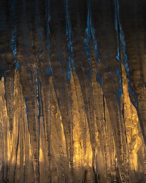 Eiszapfen mit schönem goldenen Licht, was darauf leuchtet von Jos Pannekoek