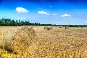 #Strorolls im Feld verändern die Landschaft. von Fotografie Arthur van Leeuwen