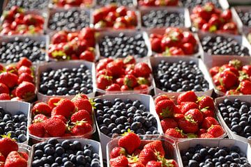 Frische Erdbeeren und Heidelbeeren in Schalen