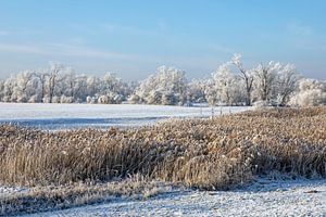 Winterlandschaft im Sonnenschein