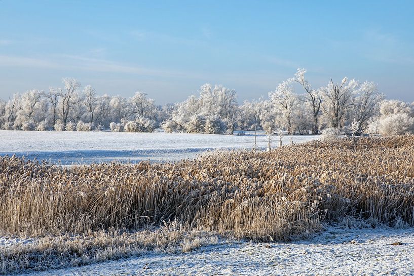 Winter landscape in the sunshine by t.ART