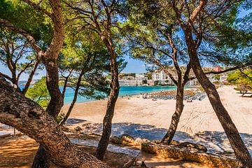 Kust aan zee op Mallorca, strand in Santa Ponsa, Spanje van Alex Winter