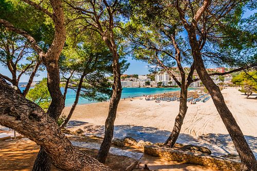 Seaside coast on Majorca, beach in Santa Ponsa, Spain