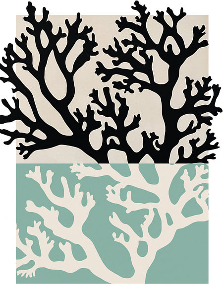 Coral (Mint) by Treechild on canvas, poster, wallpaper and more