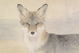 Renard japonais
