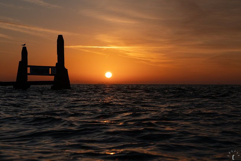 Sunrise by Chetansharma Golla